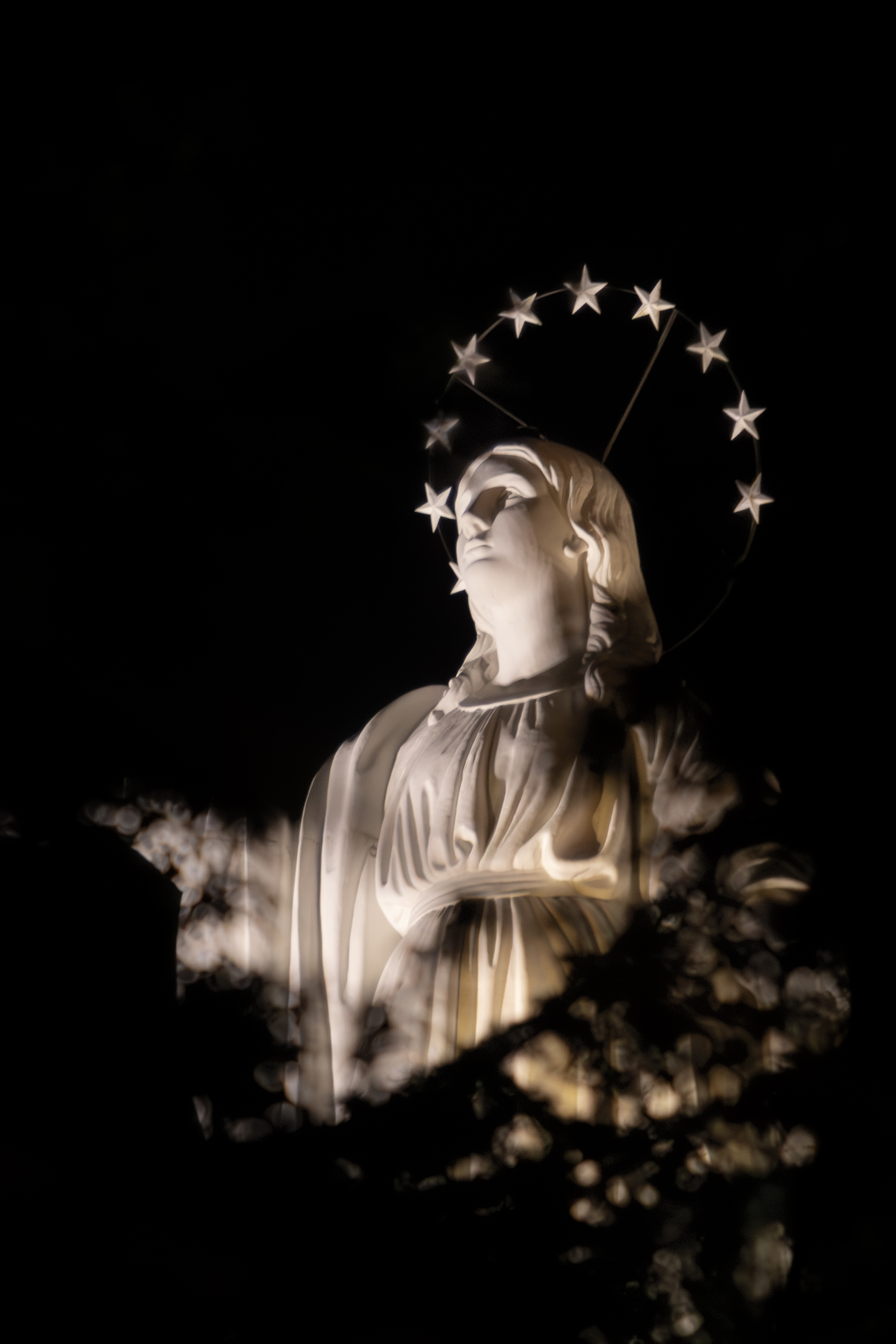 Jugadores en acción